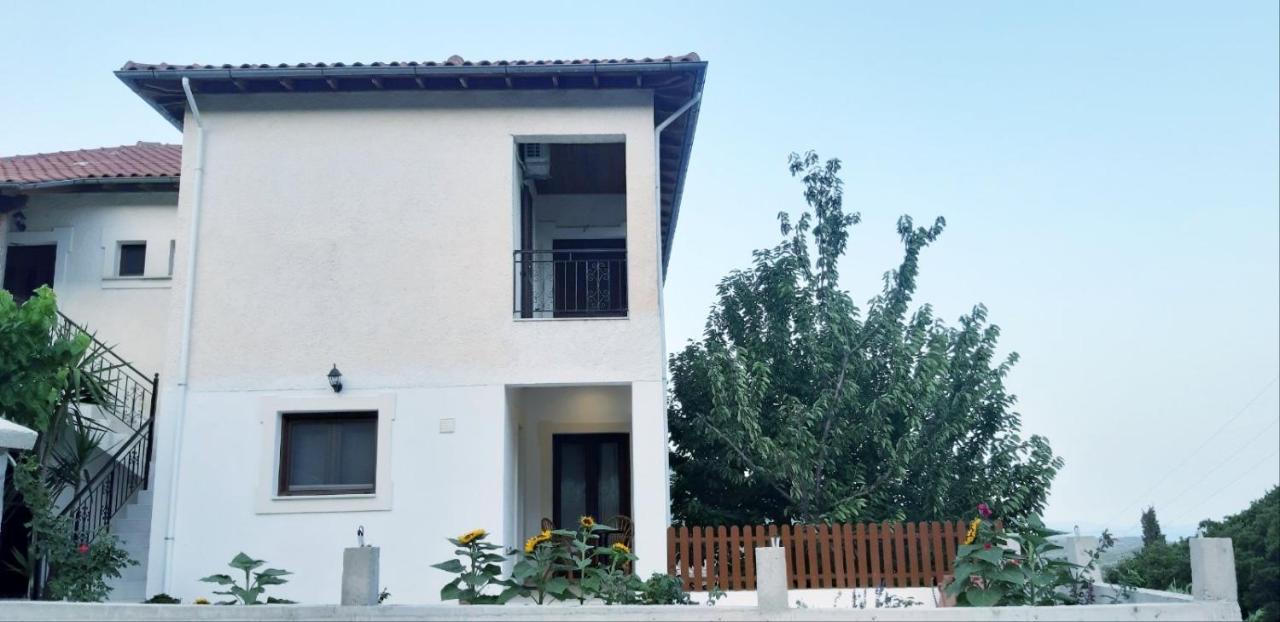 Green View Apartment Agios Petros  Экстерьер фото